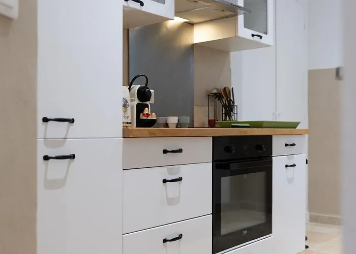 公寓 Chez Anne- Elegance Et Confort 尼斯